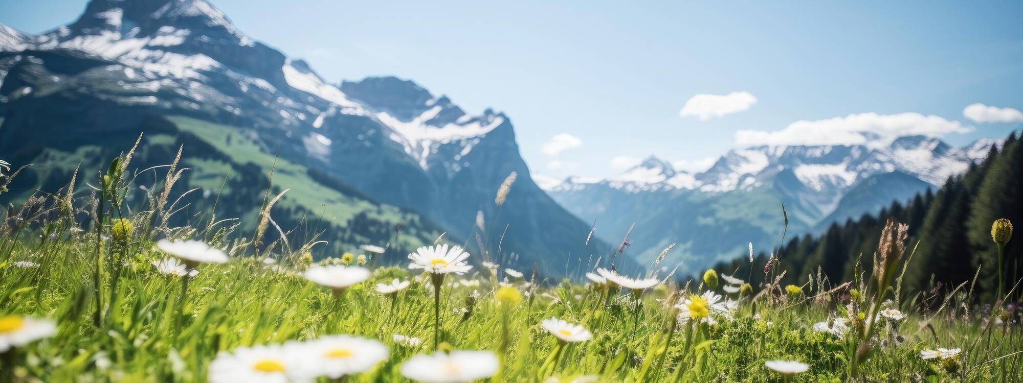 Sommerurlaub - Region Wildschönau